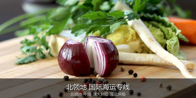 澳大利亚海运专线时效对比与选择指南