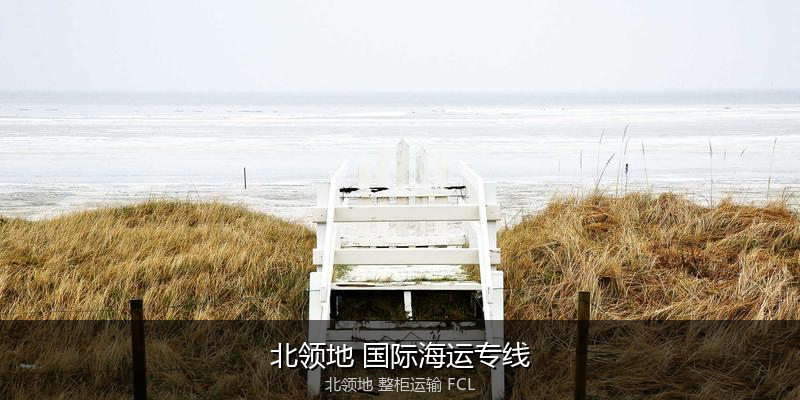 海运拼箱与整柜运输优劣对比